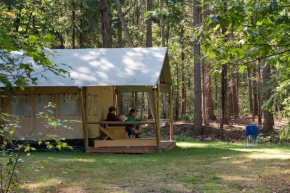 Glamping safaritent camping 't Vlintenholt